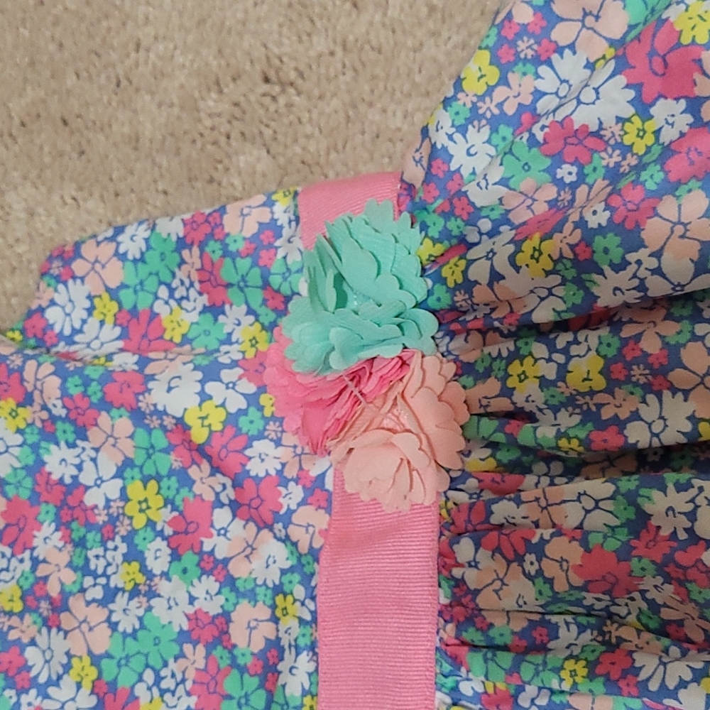 Carters Spring Dress - Picture 4 of 5